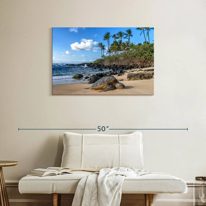 Tortue de mer Brampt Oahu Island, H 24 po x l 36 po