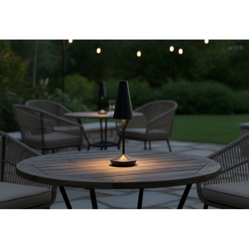 Lampe de table à DEL sans fil Flynn - noir, Noir