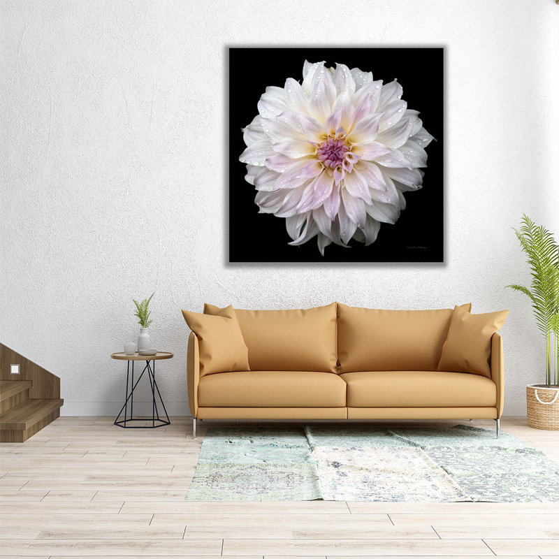 Dahlia IV - reproduction d'art sur toile, H 40 po x l 40 po