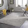 Irisha Geometric Indoor Rug