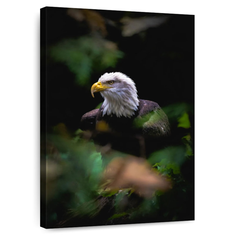 Bald Eagle Forest, 45" H x 30" W