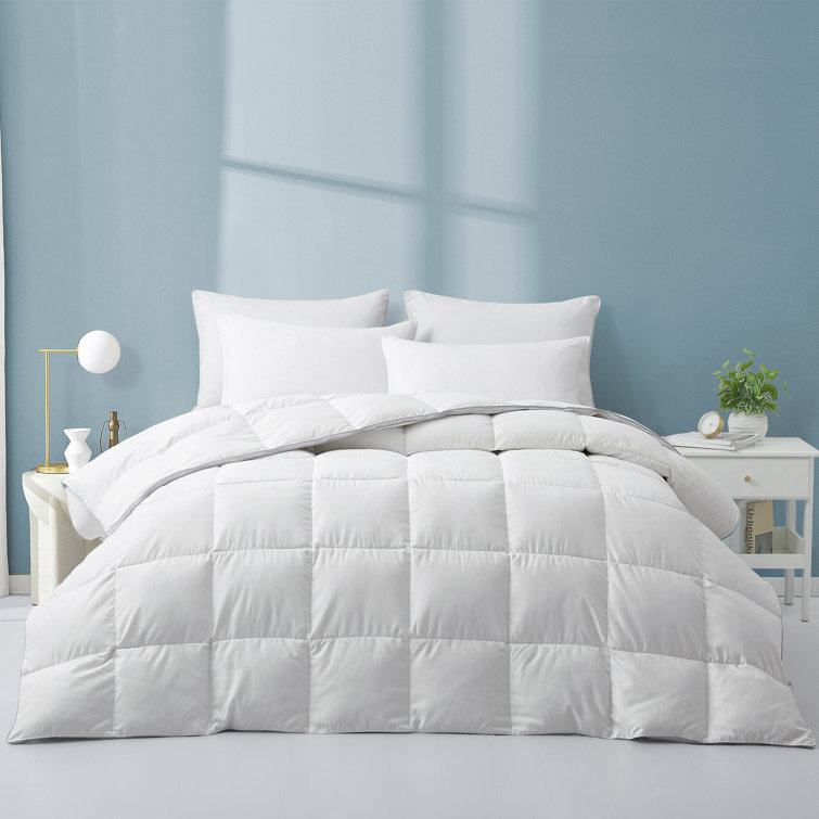 600 Fill Power All Season Goose Down Comforter
