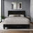 Mailiah Twin Upholstered Panel Bed-374072236-374072235