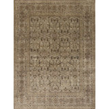 Extravagance Hand Knotted Area Rug