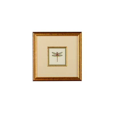 Miniature Dragonfly IV Print