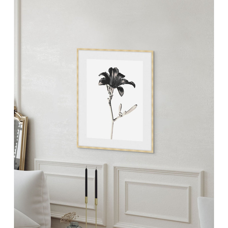Flora Noir 2 Framed Print, 20.75" H x 17.75" W