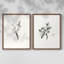 «Vintage Floral XXII», impression giclée sur cadre - ensemble de 2-813104422-813104442