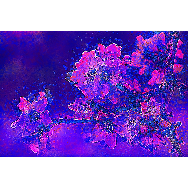 Fleurs d'amandier par Anna Bliokh, H 20 po x l 30 po