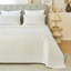 Monzell Polyester Geometric Shapes Bedspread with Pillowcases Included-410905352-410905359