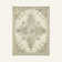 Tobitha Oriental Indoor Rug
