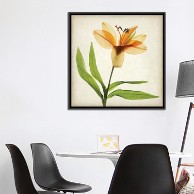 « parchemin floral xi », impression sur toile