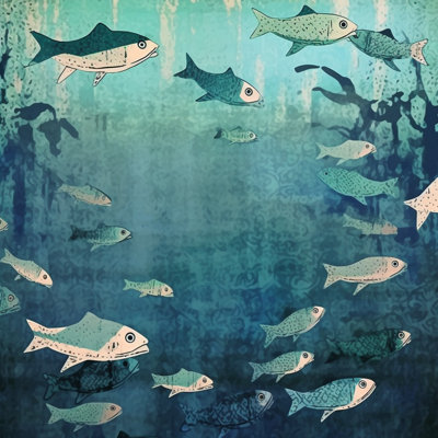 Literie pour poissons de mer