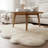 Fraley Sheepskin Indoor Rug-1529790843