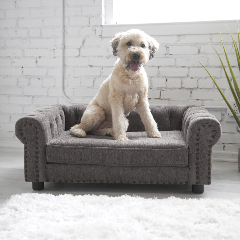 Canapé pour chien Newton Furniture