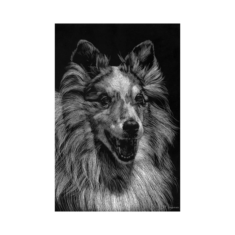 Canine Scratchboard VIII by Julie T. Chapman - Wrapped Canvas Print, 101.6 cm H x 66.04 cm W x 1.91 cm D