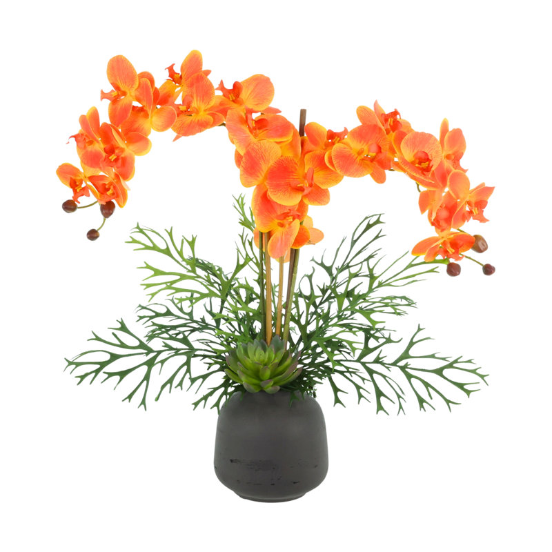 Arrangement orchidée et fougère