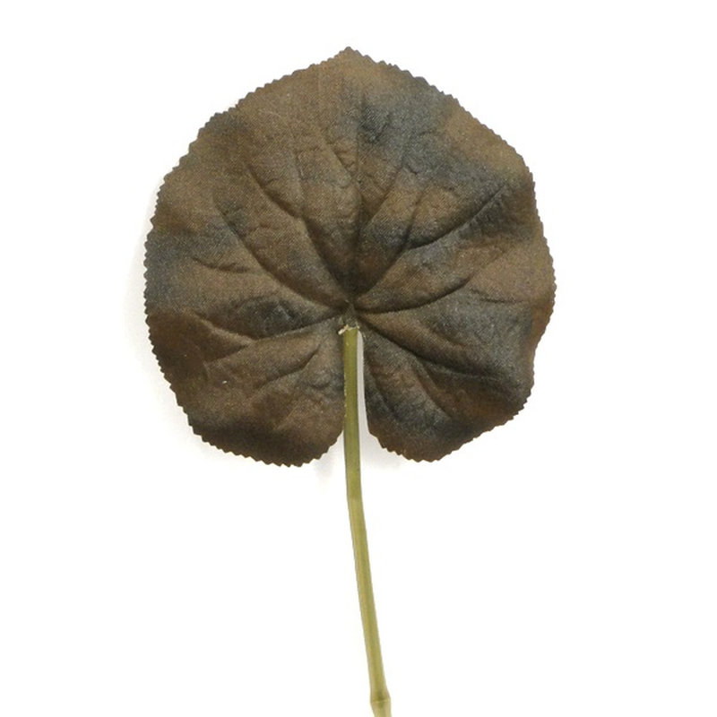22cm Foliage Plant