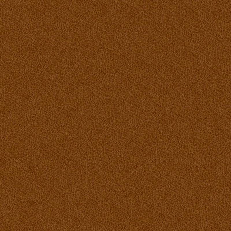 Kravet Design Grana Fabric, Camel