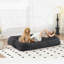 Lit convertible pour chien en couple-1458583271