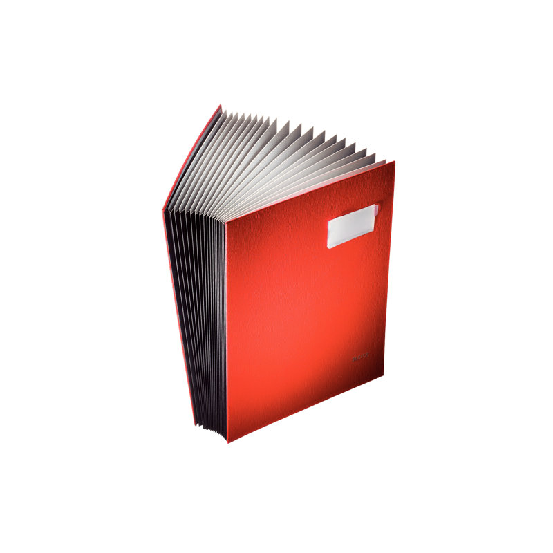 Cardboard Paper Organiser, Blue
