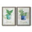 Basilic en pot - ensemble de 2 peintures sur toile encadrées-864886622-864886438