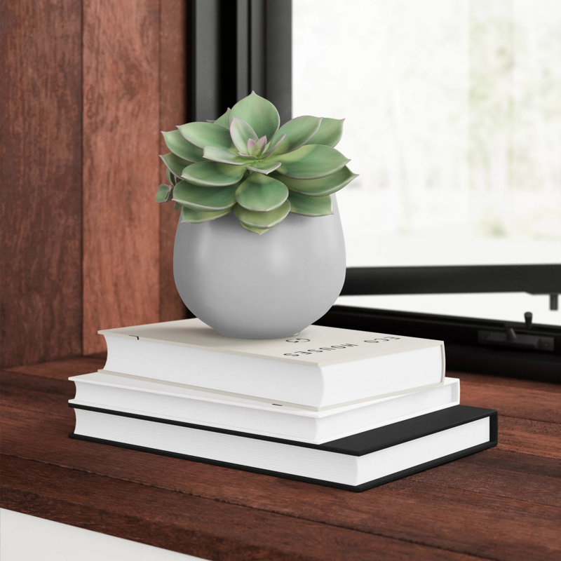 Hilaria Ceramic Wall Planter, 3.5'' H x 4'' W x 5" D, Matte Light Gray