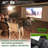 DIY Pro, 220" Diag, Indoor/Outdoor Matte White Front Projection Screen w/Grommets, Ropes, Carry Pouch, Black Borders