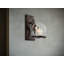 Appliquee à bras 1 lumière à luminosité et bronze antique Jeb