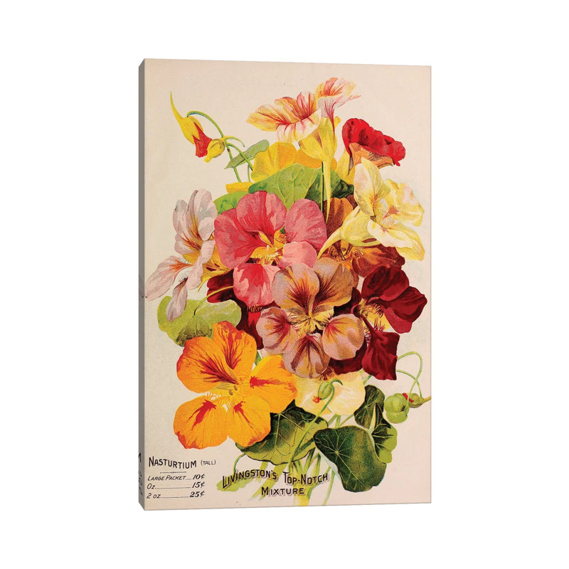 Livingston's Top-Notch Mixture, Nasturtium 1 Piece Wrapped Canvas Painting, 66.04 cm H x 45.72 cm W x 3.175 cm D