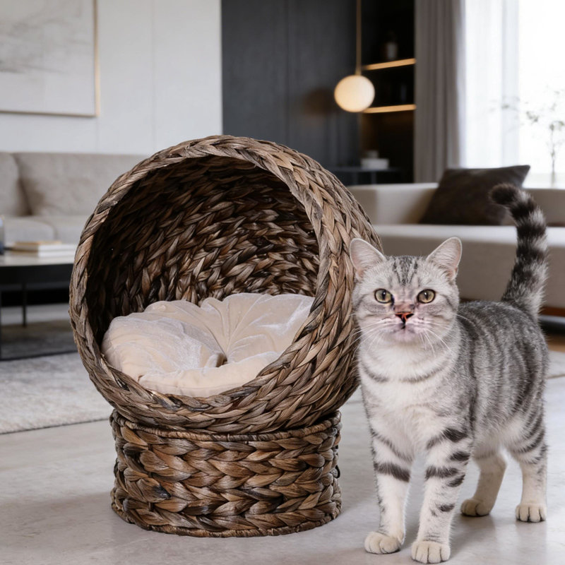 Fauteuil à œufs surélevé avec panier rotatif à deux positions Coussin en tissu doux pour chats de moins de 11 lb, Brown