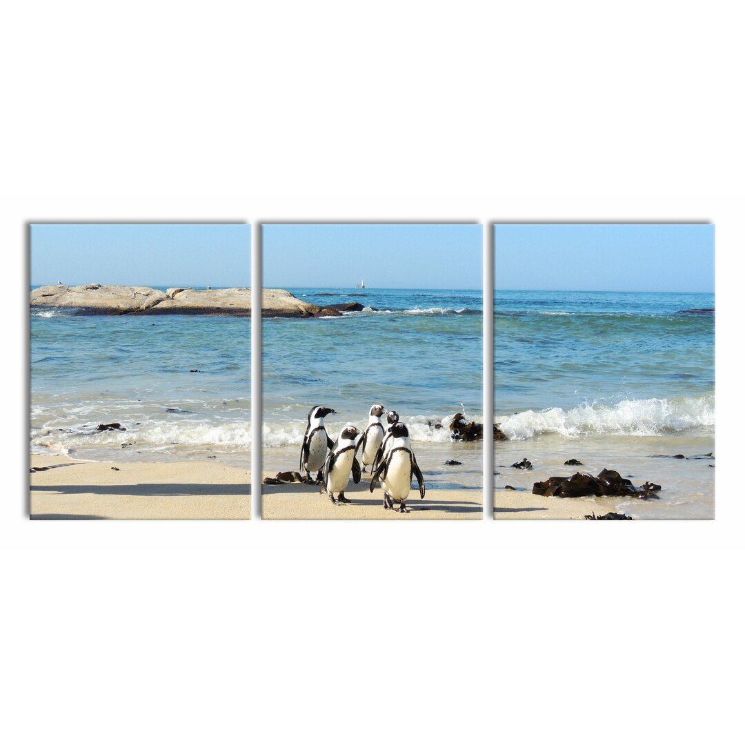 3-tlg. Leinwandbilder-Set Pinguine am Strand in Weiß