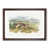 Walnut Framed selected