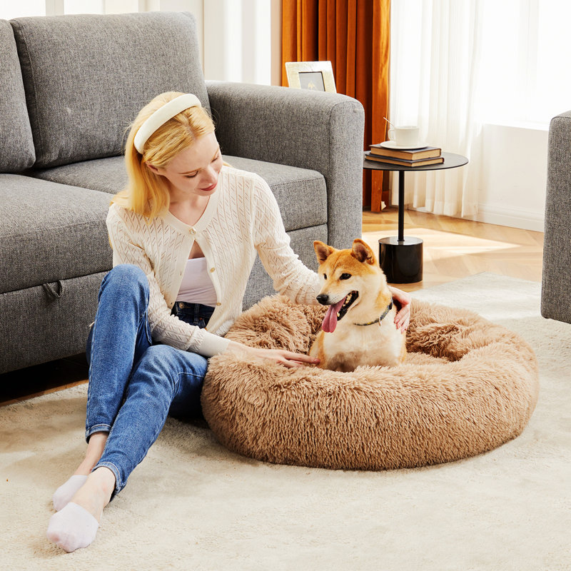 Lit luxueux pour animal de compagnie avec coussin moelleux - confort ultime pour les animaux de compagnie