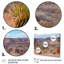 Grand Canyon à l'Ouest de l'Arizona II-680051597-680051594
