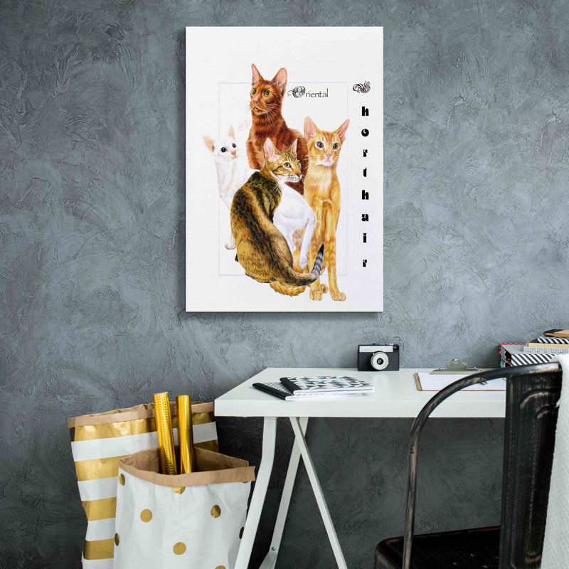 Red Barrel Studio «Oriental Shorthair» par Barbara Keith, art mural sur toile, 18 po x 26 po