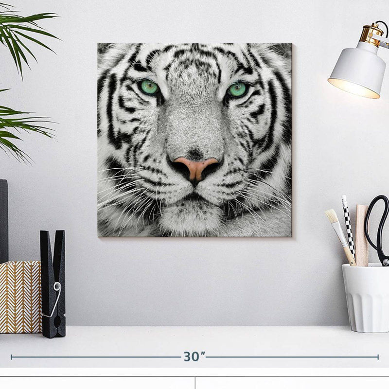 Tigre blanc aux yeux verts Brampt, H 16 po x l 16 po