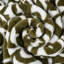 Throw Blanket-1433370251