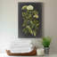 Ex-libris floral I - Impression sur toile tendue-353283877