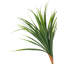 165cm Faux Palm Plant in Pot