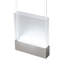 LED Pendant