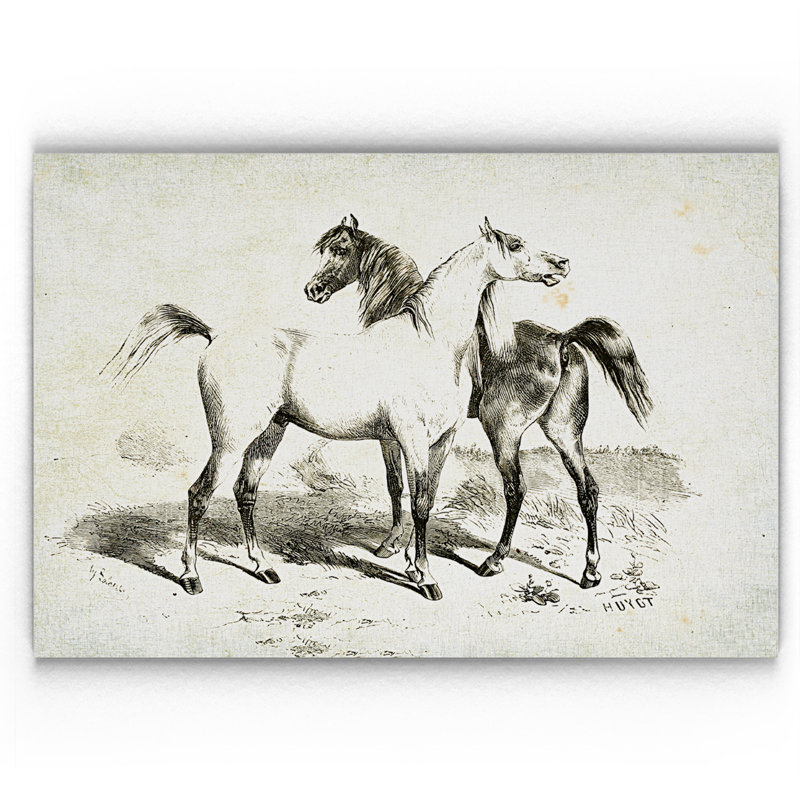 « équin sketch xxviv », impression, H 18 po x l 27 po x P 1,5 po, Pas de tapis, Toile tendue