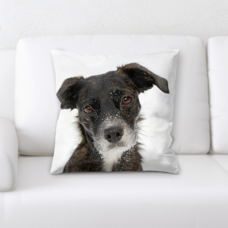 Coussin pour chien