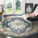 Bailes Oriental Area Rug
