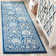 Abdul Performance Ikat Rug