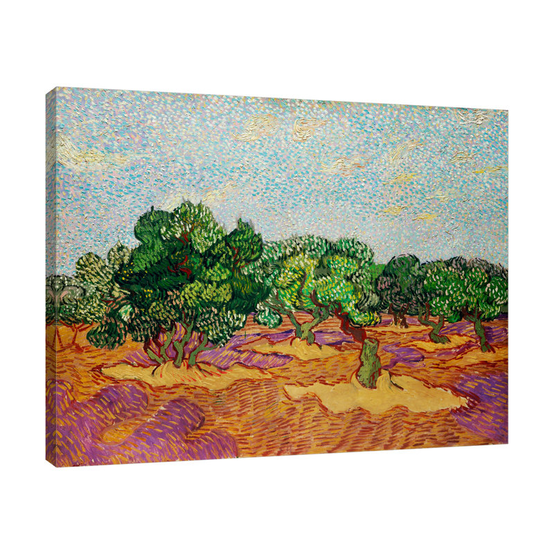 Olive Trees par Vincent Van Gogh - reproduction d'art sur toile tendue, H 20 po x l 25 po x P 1,5 po