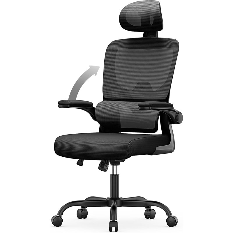 Motonobu Ergonomic Office Chair with Mesh Lumbar Support, Black, Black