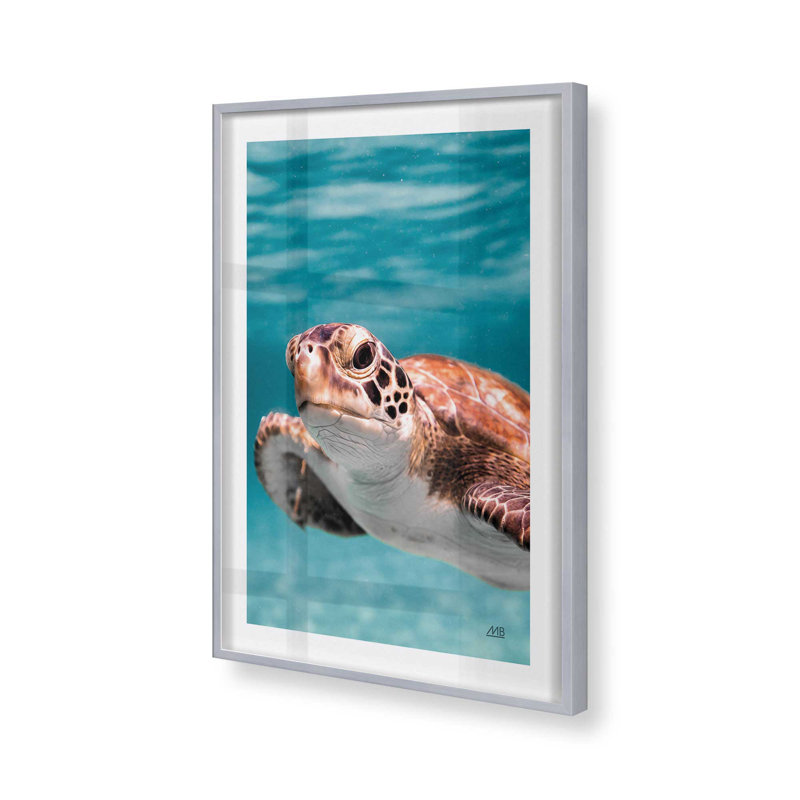 Imprimé Sea Turtle's Path II, H 15,25 po x l 12,25 po, Argent argent