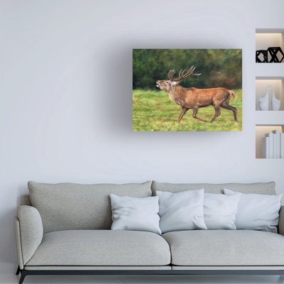 David Stribbling Red Deer Stag Running Canvas Art