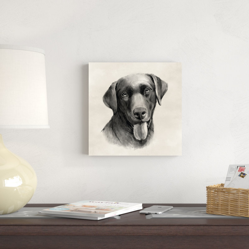 Gris anthracite Labrador I, H 12 po x l 12 po