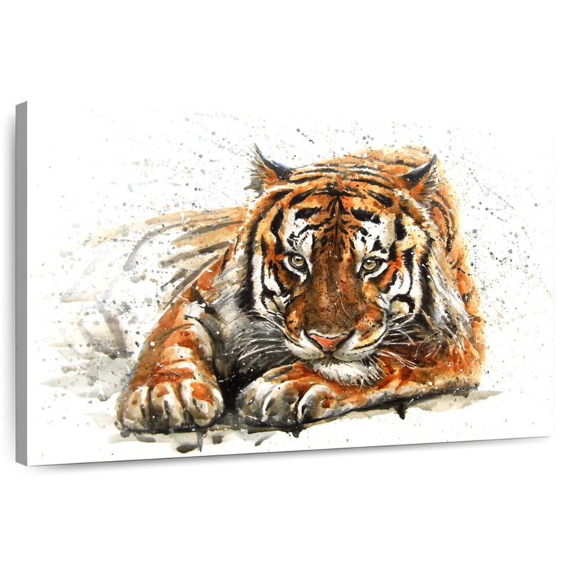 Tiger Leer, 30" H x 45" W